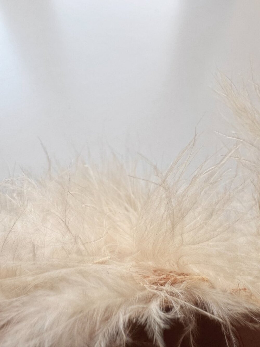 Vintage Beige Ostrich Feather Velvet Bow Wool Felt Cloche Hat - Picture 14 of 16